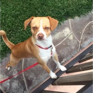 Meet your Posher, Freddy